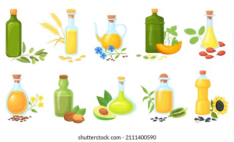 Oil seeds bottles. Oils for cooking vegetables with seed plant wheat olive sunflower sesame mustard, nuts peanut, farming nutrition fats, vector illustration. Bottle cooking oil, sunflower or olive