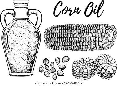 Oil set. Hand drawn vector illustration. Corn oil. Use for cosmetic products or food. Sketch style vector organic food illustration.