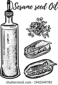 Oil set. Hand drawn vector illustration. Sesame seed oil. Use for cosmetic products or food. Sketch style vector organic food illustration.