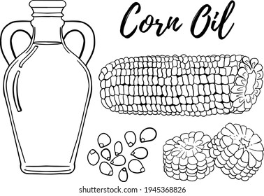 Oil set. Hand drawn vector illustration. Corn oil. Use for cosmetic products or food. Sketch style vector organic food illustration.