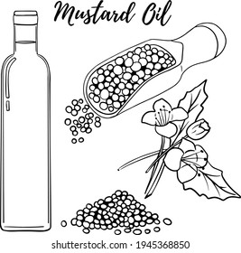 Oil set. Hand drawn vector illustration. Mustard oil. Use for cosmetic products or food. Sketch style vector organic food illustration.