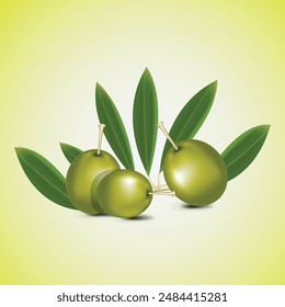 Oil Vector set of Green Olive on a branch, pickled pitted olives with leave.