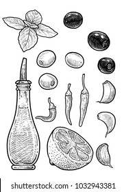 Oil, Vinegar Bottle Illustration, Drawing, Engraving, Ink, Line Art, Vector
