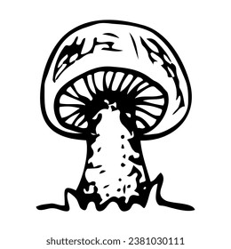 Oiler mushroom autumn doodle. Search for forest food. Hand drawn sketch.
