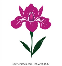 Vetor de flor da íris sobre fundo branco 
