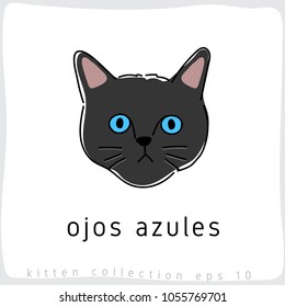 Ojos Azules : Cat Breed Collection : Vector Illustration