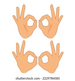 Ok gesture with the inside and back of the hand. Hand gesture for animation.