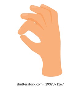 Ok hand gesture icon. Cartoon of Ok hand gesture vector icon for web design isolated on white background