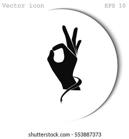 Aceptar vector de icono