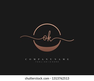  OK initial handwriting logo template vector