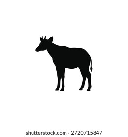 Okap silhouette vector flat illustration design.