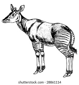 Okapi