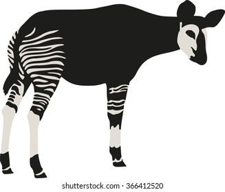 Okapi