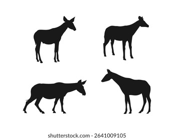 Okapi animal silhouette vector art and illustration. Okapi black logo icon design. Silhouettes of Okapi, Vector Design.