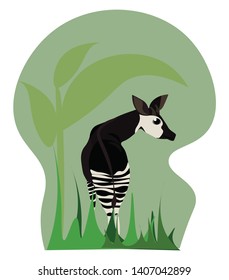 Un okapi es un animal que tiene marcado de rayas en sus piernas, vector, dibujo de color o ilustración. 