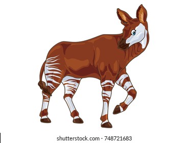 Okapi cartoon illustration in realistic skin tone