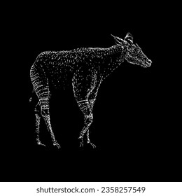 vector de dibujo a mano okapi aislado en fondo negro.