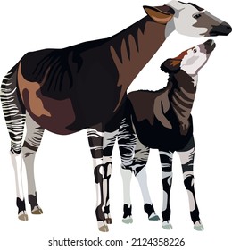 Okapi with her cub. Vector illustration