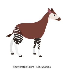 Okapi. Isolated vector illustration