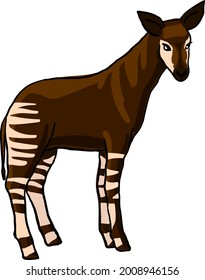 Okapi-Vektorgrafik tropisches Tier