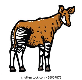 Okapi vector illustration