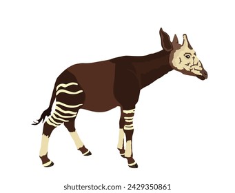 Okapi vector illustration isolated on white background. Forest giraffe. Okapia Johnstoni symbol.