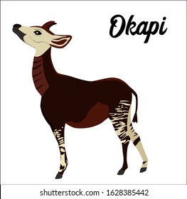 Okapi vector illustration on white background. Design elements, perfect for poster, logo, card, book, label or card. The animal is endangered