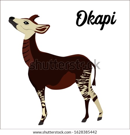 Okapi vector illustration on white background. Design elements, perfect for poster, logo, card, book, label or card. The animal is endangered