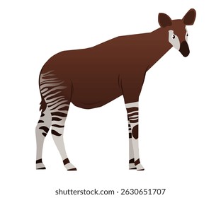 Okapi vector ready to use digital collection.