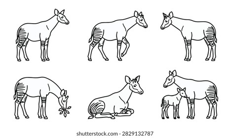 Okapi Wildlife Animal Line Art Illustration Icon Set