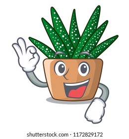 Okay character small zebra cactus plant on pot