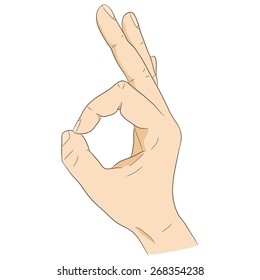 Okay gesture, hand sign, zero