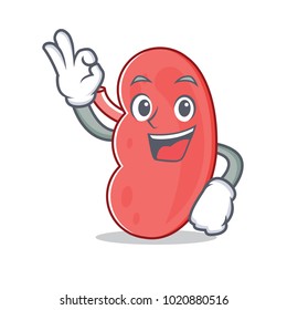 Okay kidney character cartoon style
