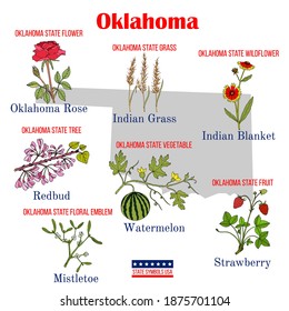 Oklahoma. Set of USA official state symbols. Vector hand drawn illustration