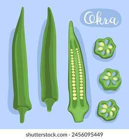 Okra. Bamia. Abelmoschus esculentus, lady's fingers.  Vegetable, cooking ingredient. Illustration. Natural dietary edible plant, healthy vegetarian food. Asian vegetable. 
