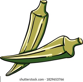 Okra colors, illustration, vector on white background