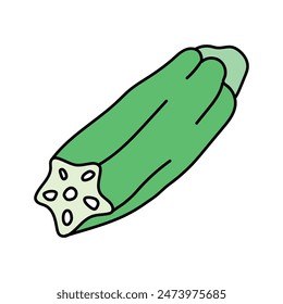 Okra in doodle style. Vector isolated on white background