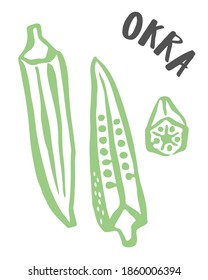 Okra drawing hand painted with ink brush isolated on white background. Vector illustration