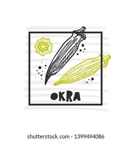 Okra. Hand drawn realistic vector illustration. Organic vegetable. Eco food. Farm market product. Isolated white background. Can be used for shop, menu, card, poster, label