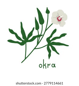 Okra isolated plant vector illustration