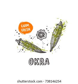 Okra isolated set. Hand drawn vector illustration with watercolor splash. Can be used for street festival, farmers market, country fair, shop, menu, cafe, restaurant, poster, banner.
