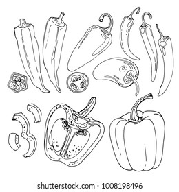 Okra, Jalapeno Pepper, hot pepper, paprika drawn by a line on a white background. A sketch of food. Vector drawing of spices