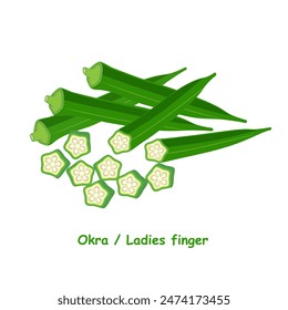 Okra o el dedo de las señoras. Ilustración vectorial de Okra vegetal saludable o dedo de las señoras aislado sobre un fondo blanco. El archivo EPS10 está hecho en color RGB y contiene transparencia.