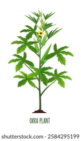 Okra Plant Vector, Lady Finger Vegetable Plant illustration, Vegetable Plant Vector