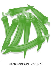Okra - Vector