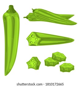 Okra vector cartoon illustration isolated on a white background.