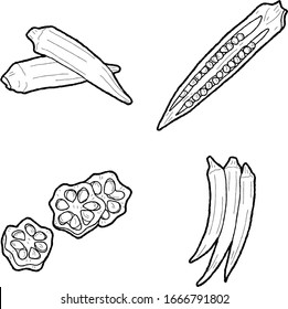 Okra Vector Illustration Hand Drawn Vegetable Cartoon Art