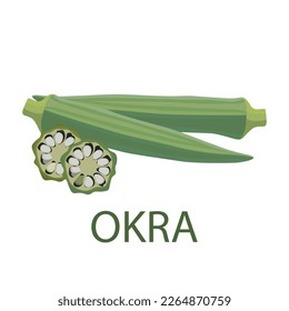 okra vector illustration vector on white background