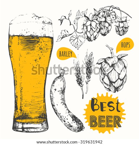 Oktoberfest set. Vector illustration of beer and sausages. Raw material for brewing: branch of hops and ears of barley. Pub menu.