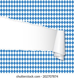 Oktoberfest - torn-paper with copy space